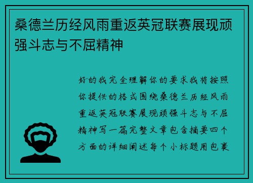桑德兰历经风雨重返英冠联赛展现顽强斗志与不屈精神